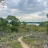 Cross Timbers Master Naturalist Chapter