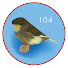 FRT5uqs5UJY-channel-avatar-GlosterCity