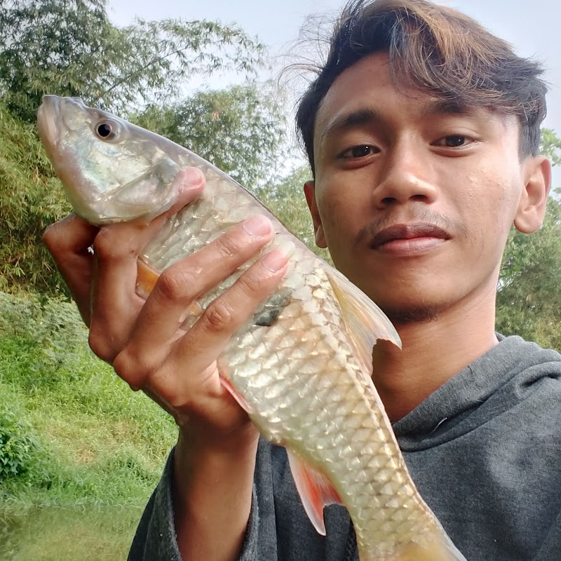 Anip Cemong