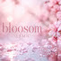 vyVf9L27bMs-channel-avatar-Blossom ASMR