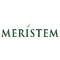Meristem Nigeria logo