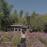 aCGuUvamq00-channel-avatar-Travel Stories by Rosh