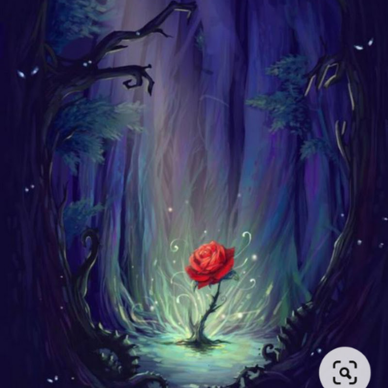 Alma Blanca Magia Y Fantasia