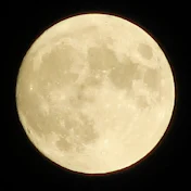 太極拳・高次元の元気と健康・没頭事で社会貢献