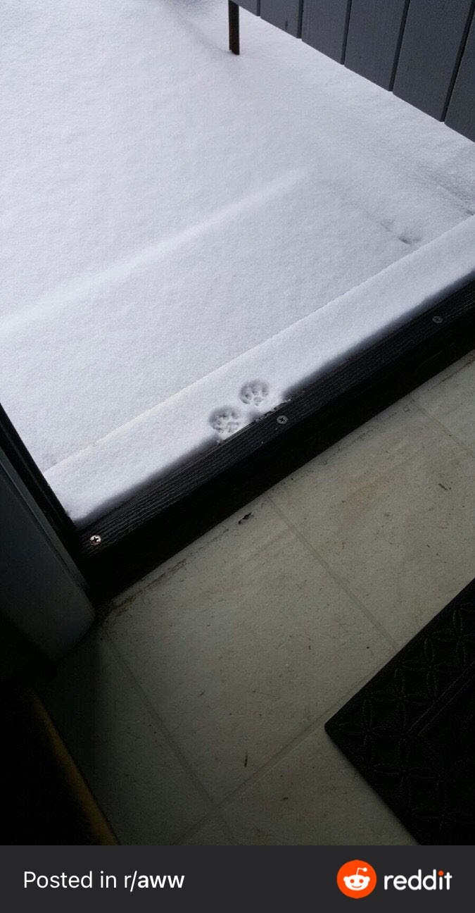 4Fl54csw0mqHlVrUVlhc9dCSqaYDKHB5FKbdkHjAXSg37VEm5a8X6xmstbTX3InB4PVRNneTtE1NQro=s1296-nd