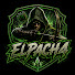 Se90pk0V4Hk-channel-avatar-El PACHA 