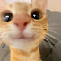 SnKzct4SxSE-channel-avatar-Lemon