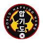 World Hapkido News YouTube Profile Photo