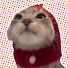 suaIMY7Vtcc-channel-avatar-FuzzFeed