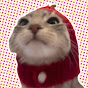 FuzzFeed