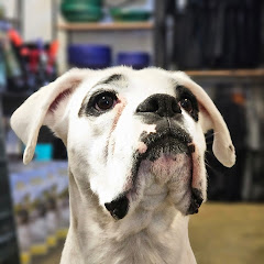 Spud Engineering net worth