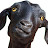 @Goatgaming583