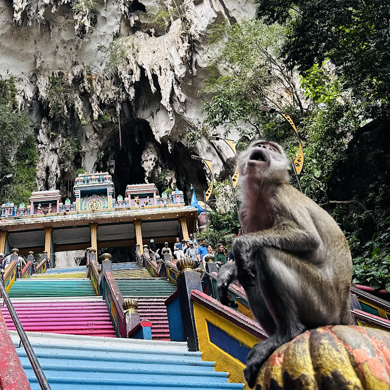 Traveling Pocket Monster