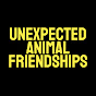 Unexpected Animal Friendships logo