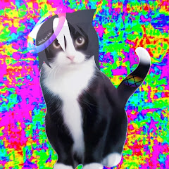 ҡนτя𝟚🐈‍⬛