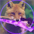 fg2vTBycFRs-channel-avatar-Tommy
