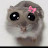 @rabiaatarbaa2925