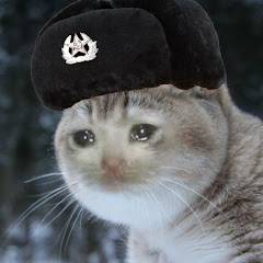 Soviet Cat