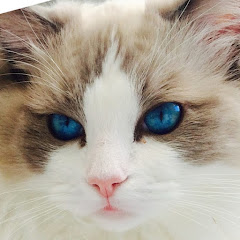 まさおすみだ
