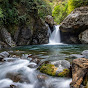 Forest Relaxing Water