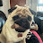 @weeNeilMUFC's avatar