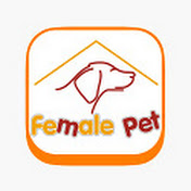 Female Pet
