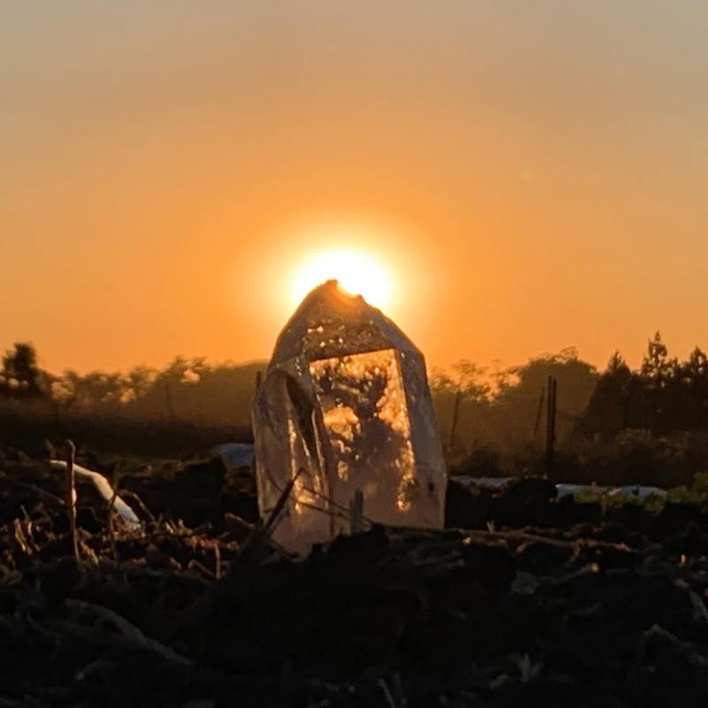 Traveling Organic Farmer