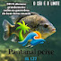 ENjrfXa44Ts-channel-avatar-Pantanal Peixes