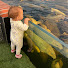 W4ddondDknc-channel-avatar-Tom’s koi videos 