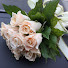 Channel Image