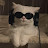 @MoodJazz9