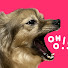 bMyb426MBH8-channel-avatar-앵그리걸즈 Angry girls