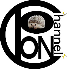 PONチャンネル