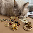 Wr8WQDgvifo-channel-avatar-Cats Vintage