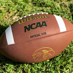 Channel thumbnail for Trinetra Soulz