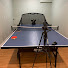 H1Cq8ZLpgXQ-channel-avatar-晓凡乒乓长胶技术分享 Table Tennis skills(long pips) sharing