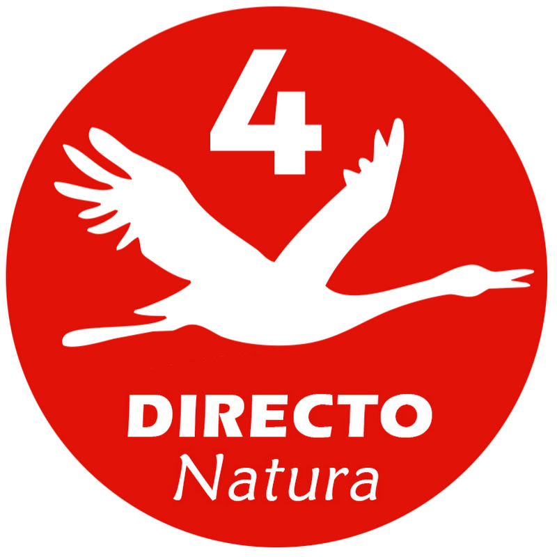 Directo Natura 4 - Comederos | Bebederos logo