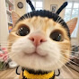 にゃんショート