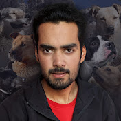Dog Ways - Amit Bhardwaj