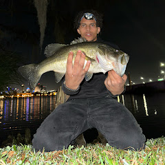 Sosafish