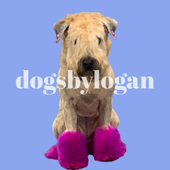 dogsbylogan avatar