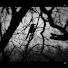 3qKQD-WqKxE-channel-avatar-Echos of the Blood