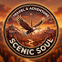 S3m4rpJXAeE-channel-avatar-Scenic Soul