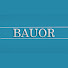 1AxP3sTnt6Y-channel-avatar-Bauor