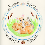 River Rock Wildlife Rehab #RRWR