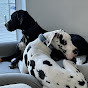 Truffles n Bentley
