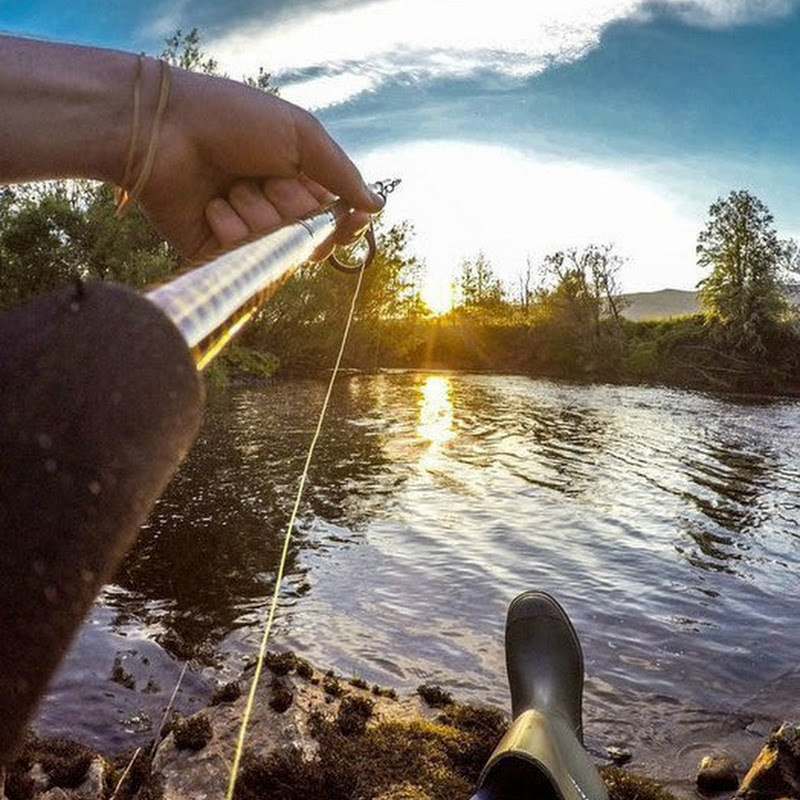 Рыбацкие Будни Logo