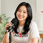 타오투데이
