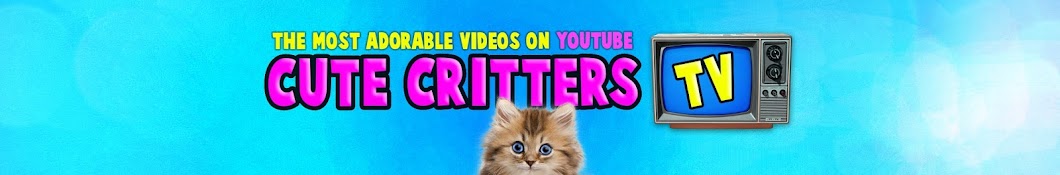 Cute Critters TV YouTube channel avatar