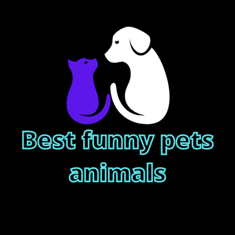 Best funny pets animals avatar